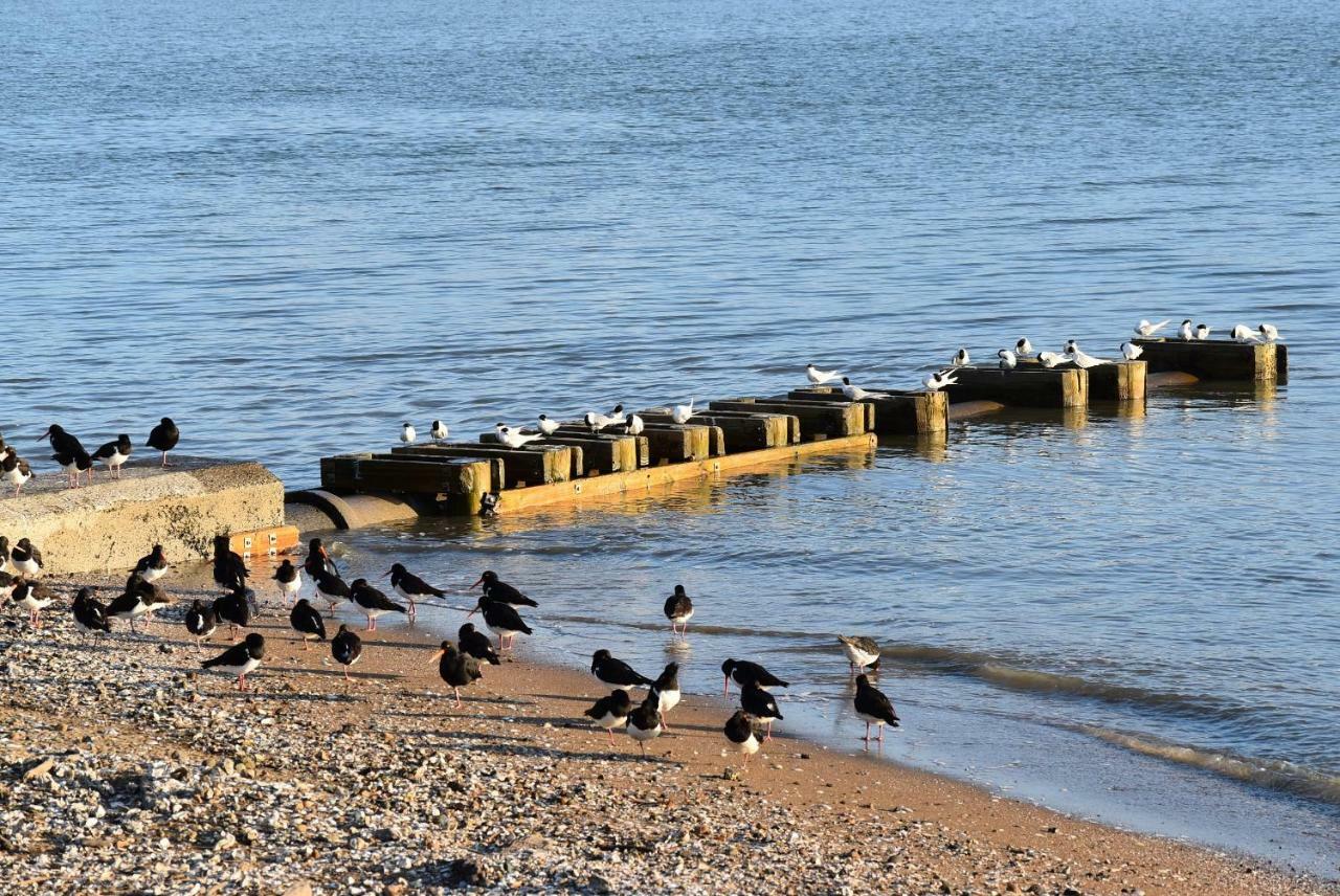 Coastal Motor Lodge Thames Exterior foto